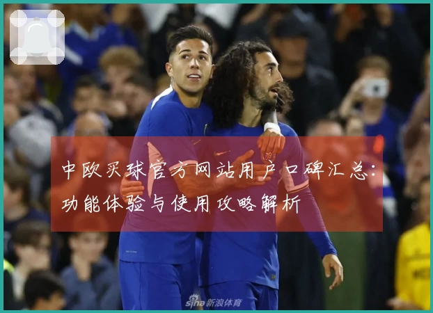 中欧买球官方网站用户口碑汇总：功能体验与使用攻略解析