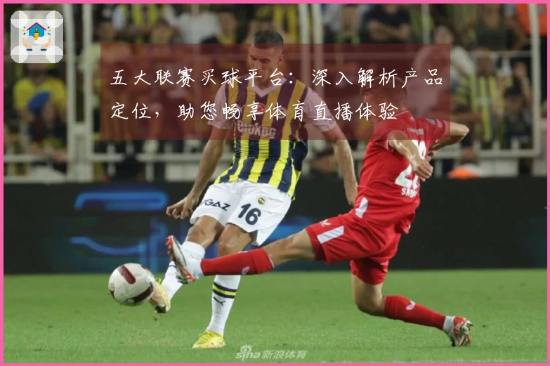 五大联赛买球平台：深入解析产品定位，助您畅享体育直播体验