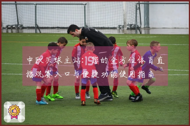 中欧买球主站：您的全方位体育直播观赛入口与便捷功能使用指南