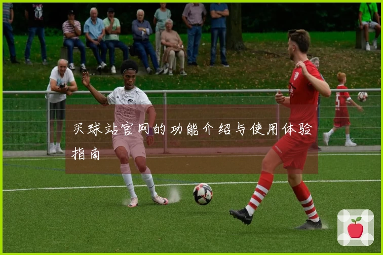 买球站官网的功能介绍与使用体验指南